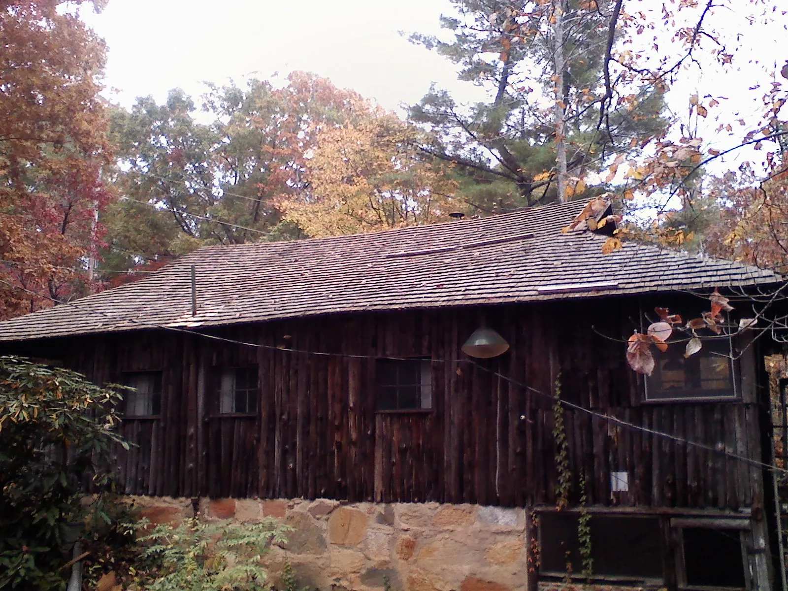 Weathered wood shake roof on a rustic board sided cabin in East Sandwich